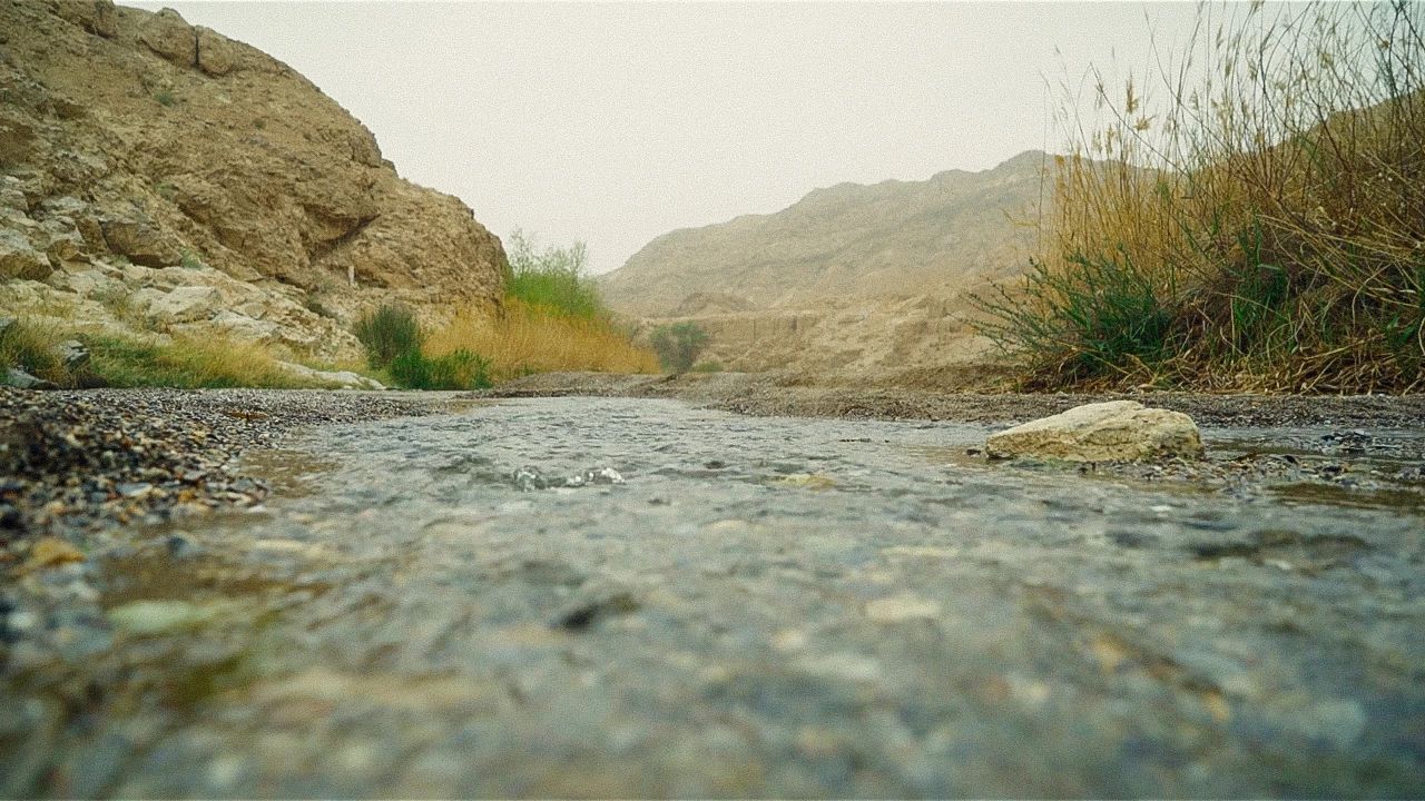 1558587295423942.jpg 微信图片_20190507150552.jpg