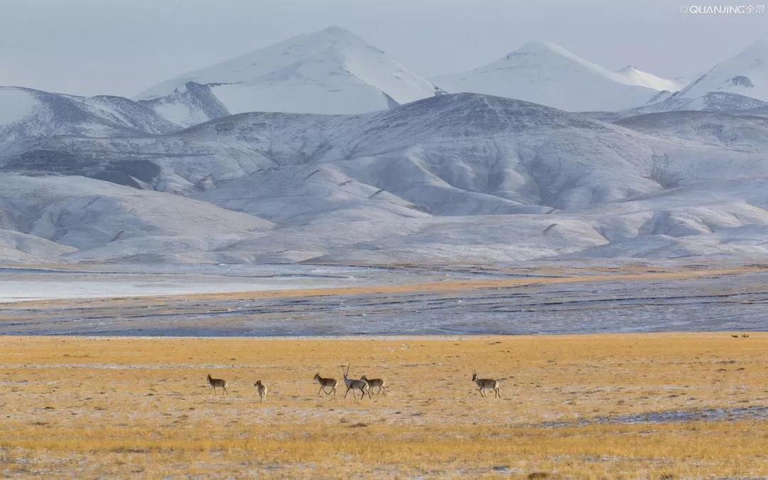 1558591618338248.jpg 微信图片_20190523140621.jpg