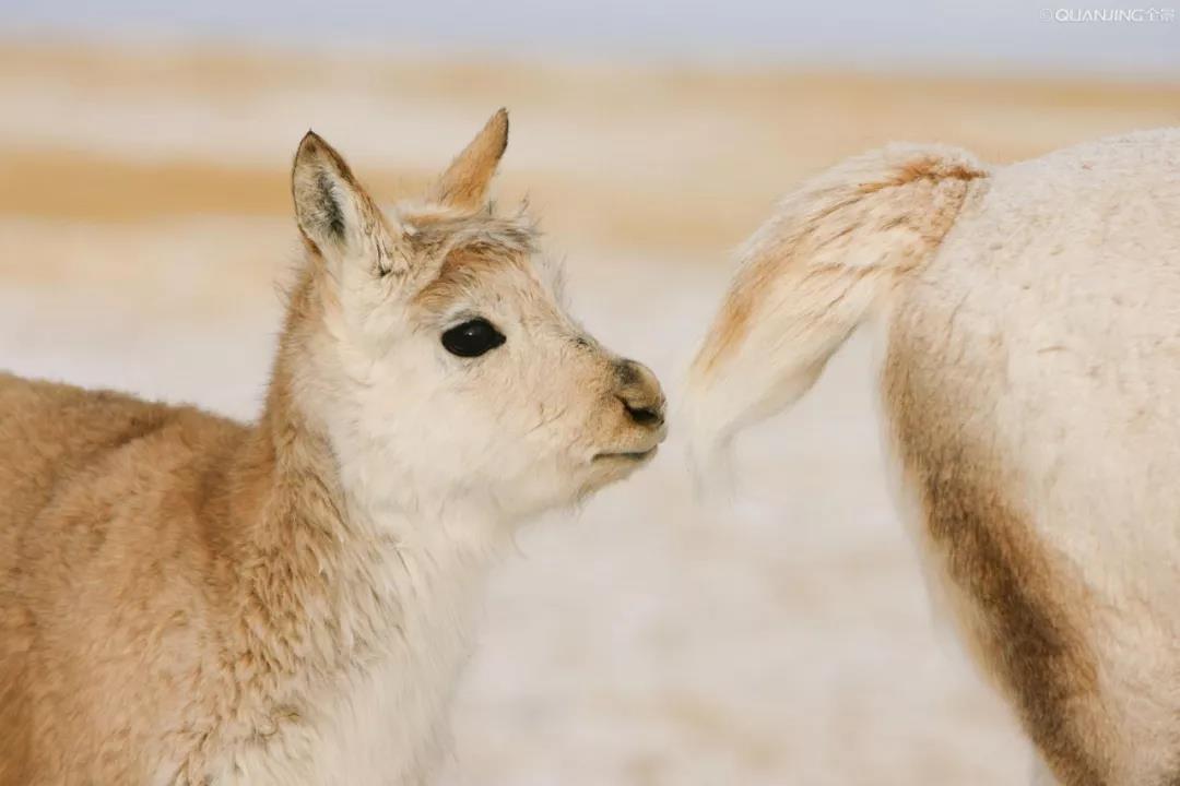 1558591661825837.jpg 微信图片_20190523140729.jpg