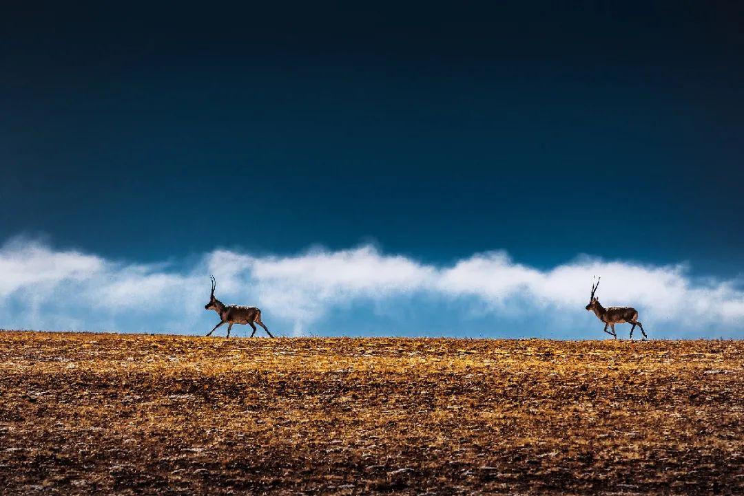 1650272089844402.png 微信图片_20220418165431.png